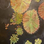 Cold Darkness of Water with Lilies