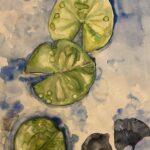 The Sky Reflecting on Waterlilies