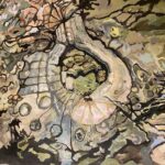 tree roots as landscape